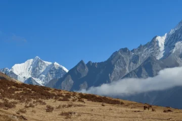 how far is langtang from kathmandu