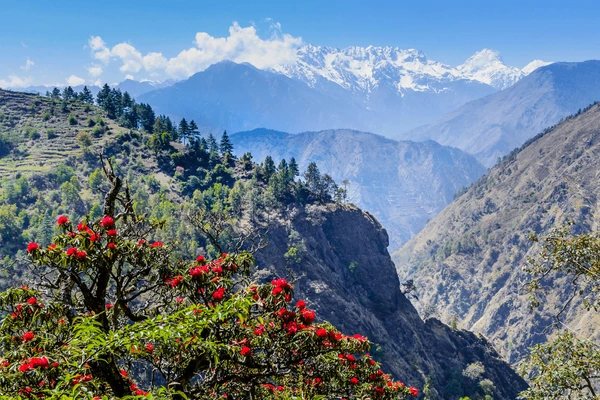 best panaroamic view in langtang