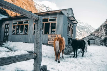 langtang valley hotel