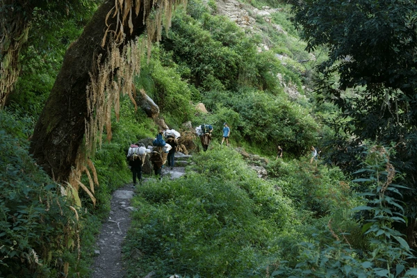 trekking route in langtang